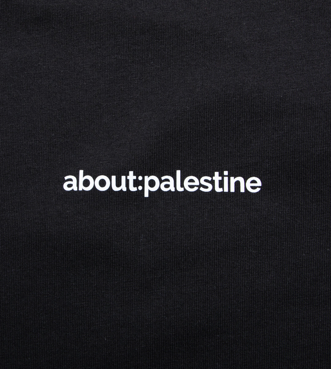 ABOUT:PALESTINE T SHIRT