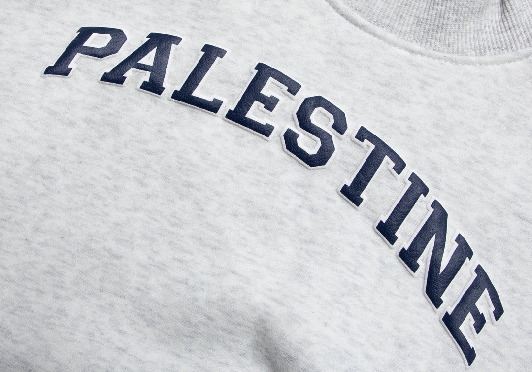 KIDS GREY PALESTINE CREW NECK