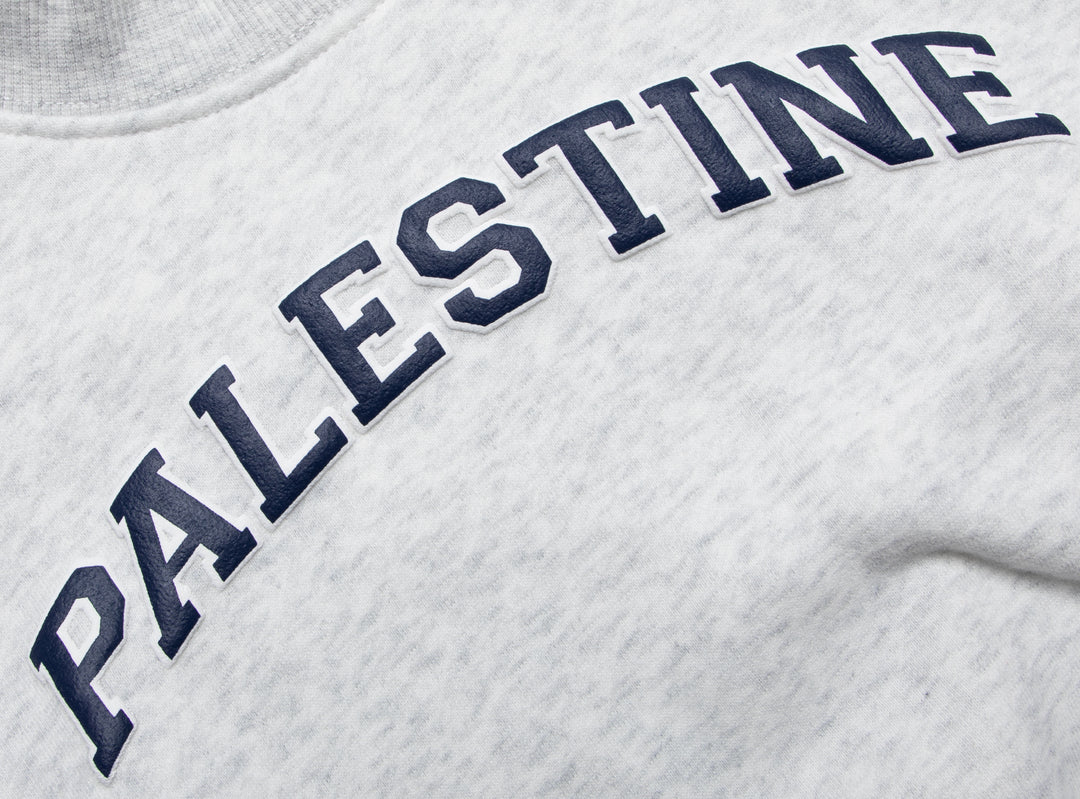 KIDS GREY PALESTINE CREW NECK