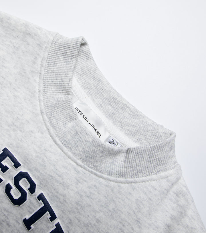 KIDS GREY PALESTINE CREW NECK