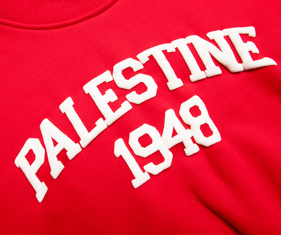 KIDS RED PALESTINE CREW NECK