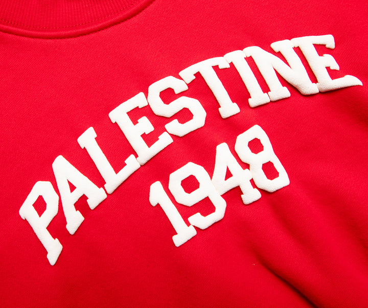 KIDS RED PALESTINE CREW NECK
