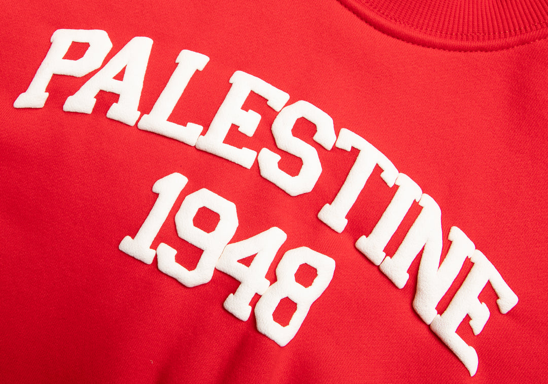 KIDS RED PALESTINE CREW NECK