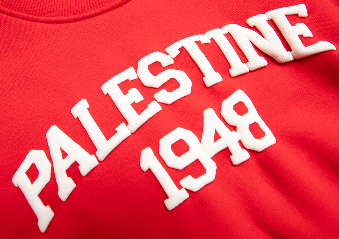 KIDS RED PALESTINE CREW NECK