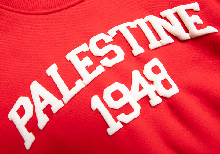 KIDS RED PALESTINE CREW NECK