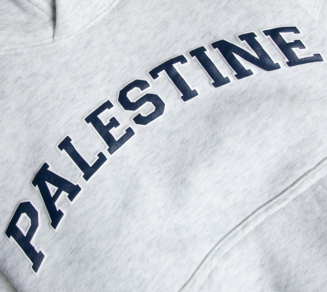 TODDLER PALESTINE HOODIE