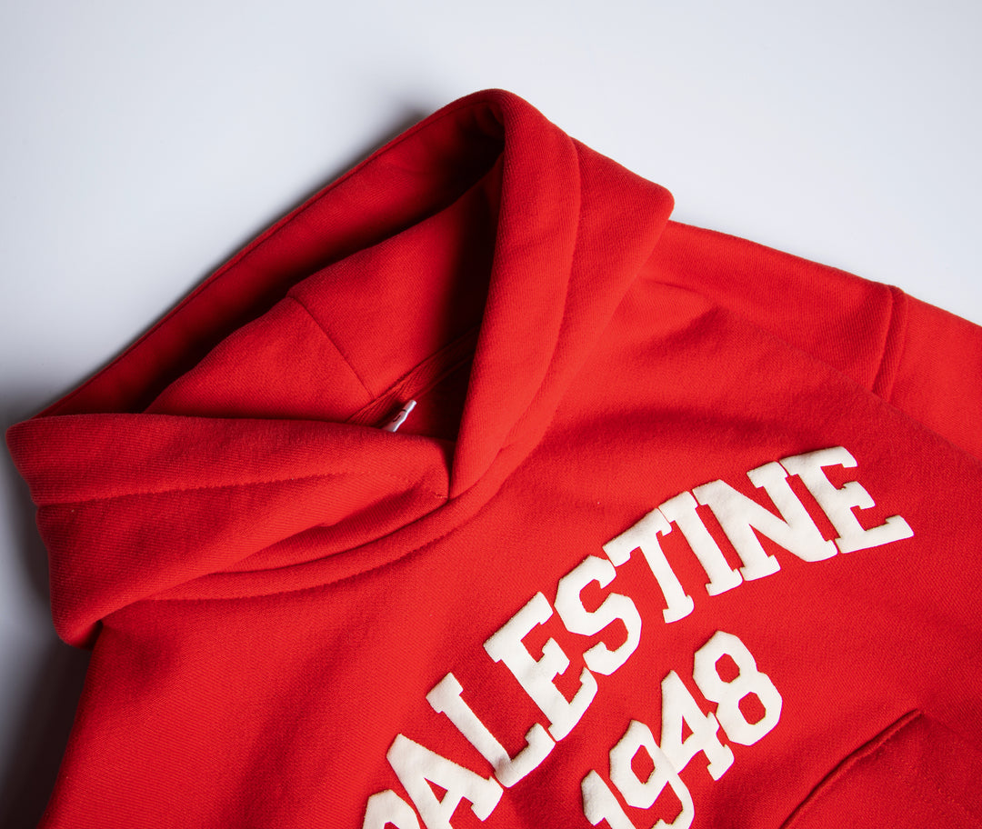 TODDLER PALESTINE HOODIE