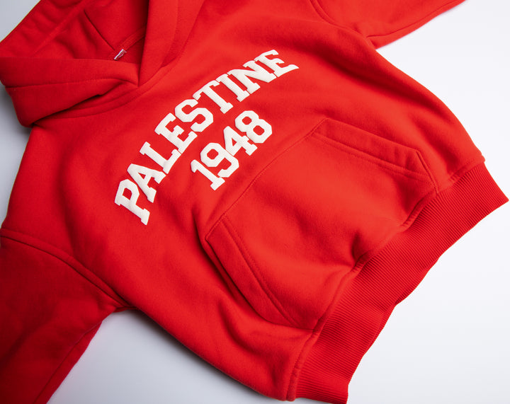 TODDLER PALESTINE HOODIE