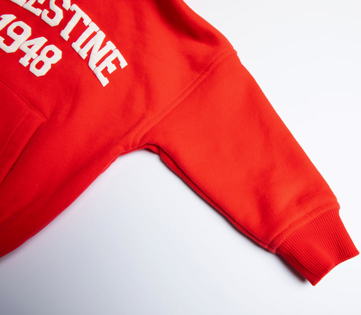 TODDLER PALESTINE HOODIE