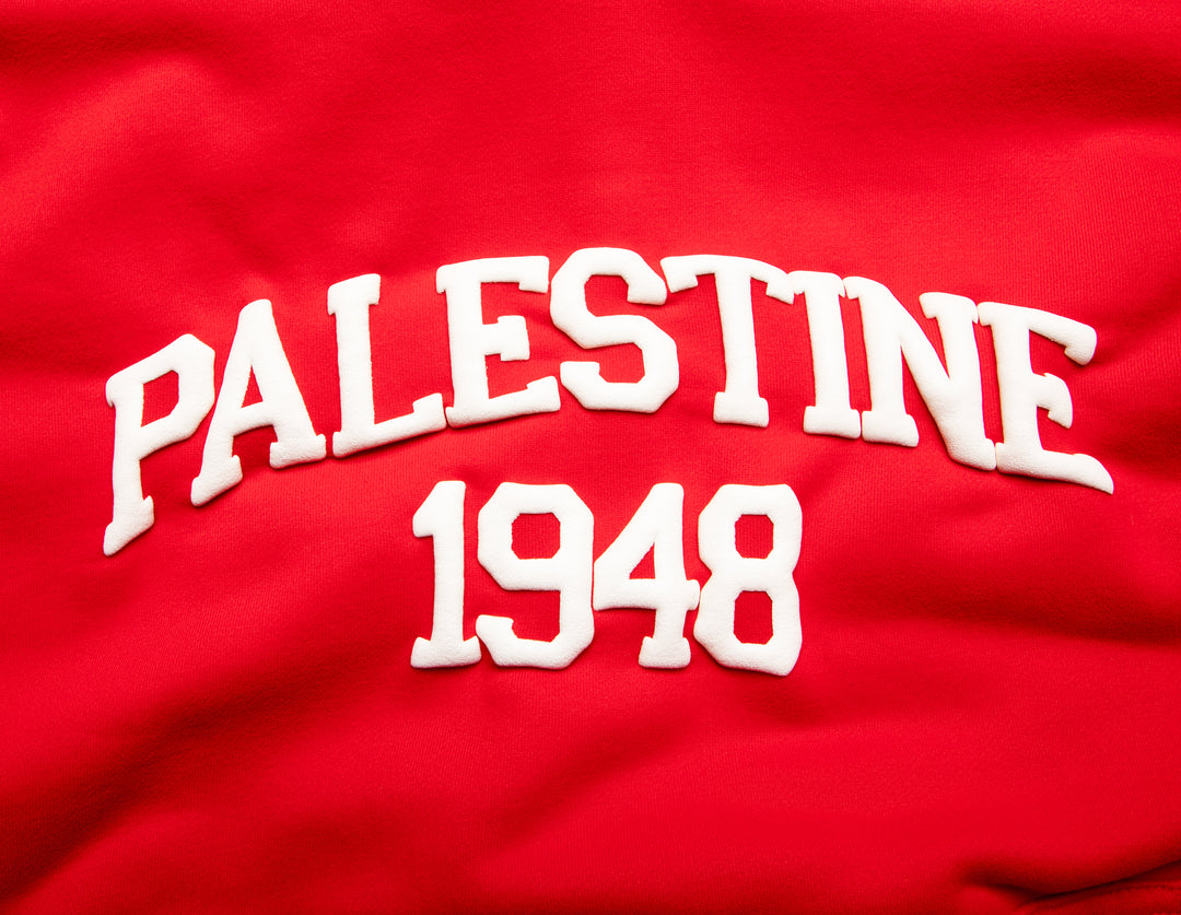 ADULT RED PALESTINE HOODIE
