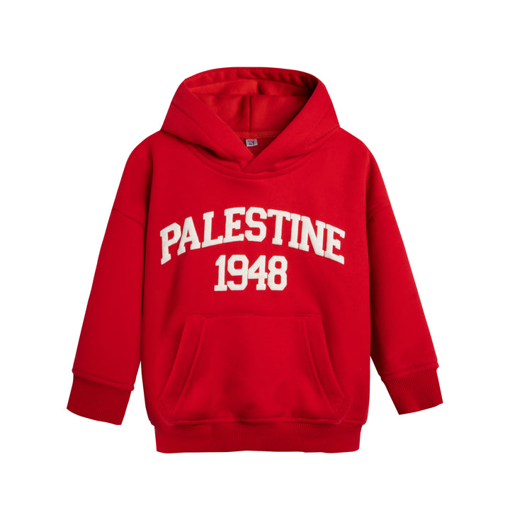 TODDLER PALESTINE HOODIE